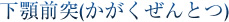 下顎前突(かがくぜんとつ)