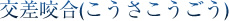 交差咬合(こうさこうごう)