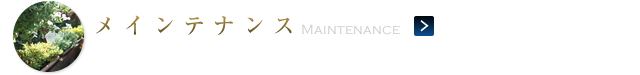 メインテナンス